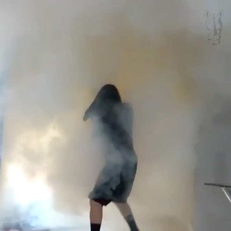 GENERADOR BAZUCA CAÑON DE NIEBLA HUMO ANTIRROBO ALARMA CORTINA ZEROVISION ALTA POTENCIA